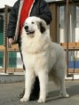 /album/fotogaleria/anastazia-balu-020-jpg/
